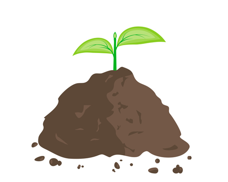 棵小樹苗從土壤中冒出，象徵成長與繁榮的夢境。