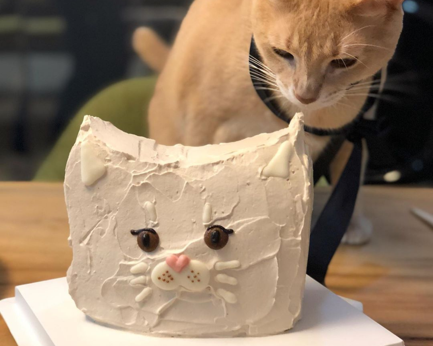 韓国カフェ、スイーツ、カフェ、デザート、ケーキ、猫、動物、ペット