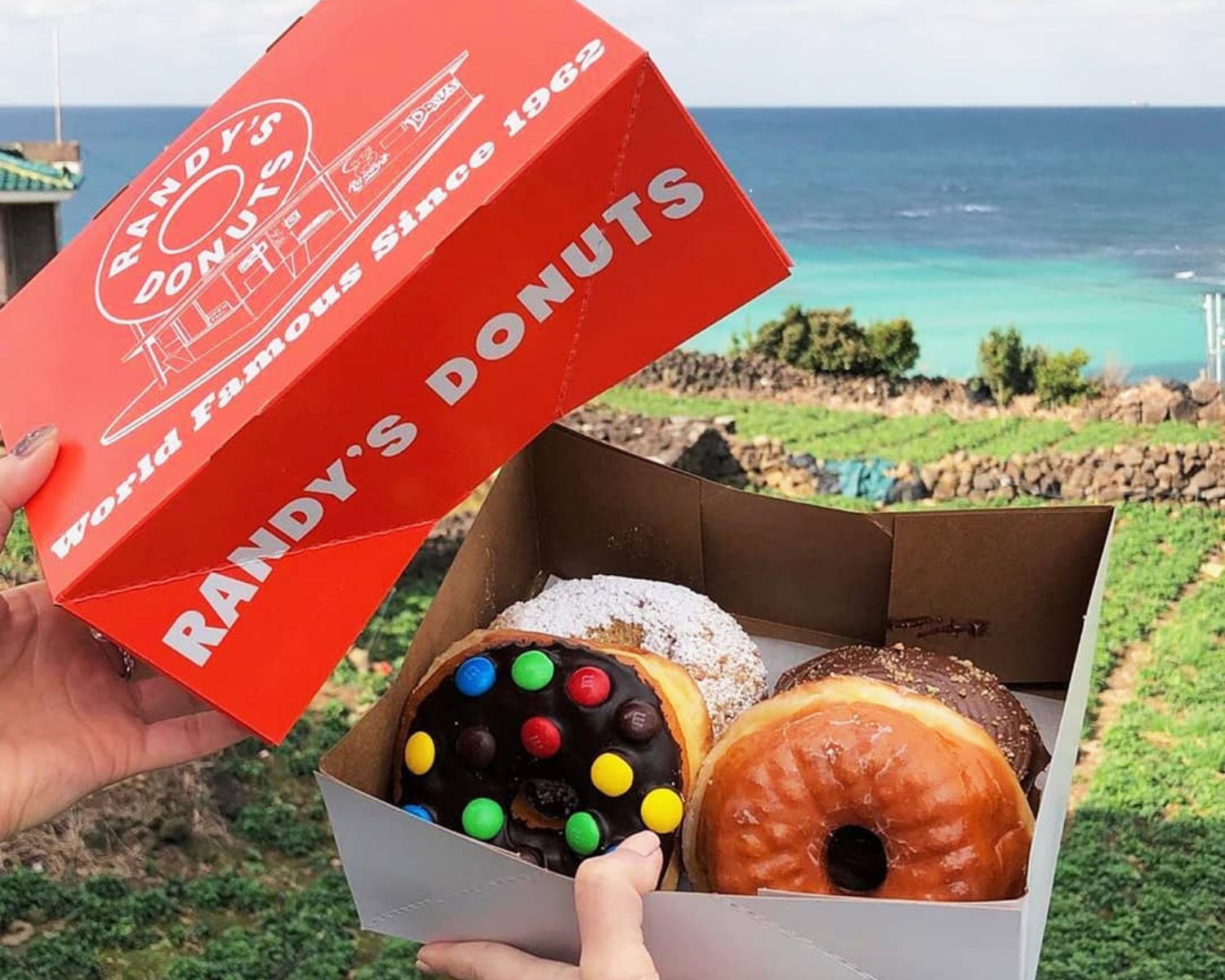 ドーナツ、カフェ