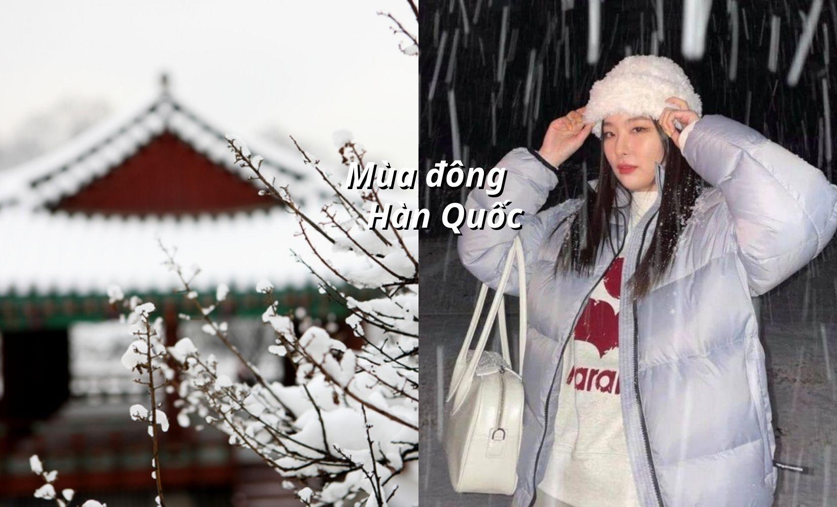 6 lý do khiến mùa đông ở Hàn Quốc cực kì đáng ghét!