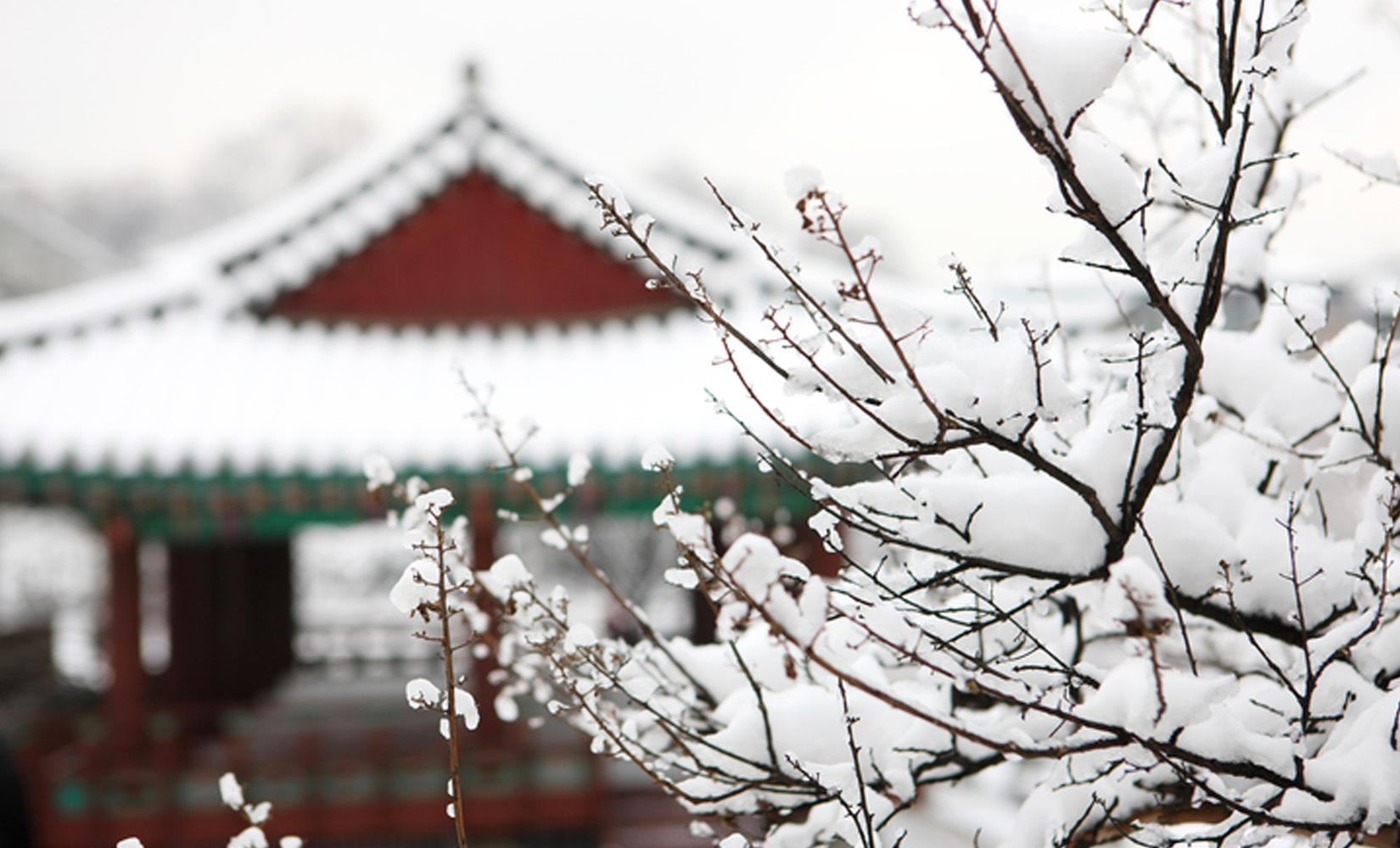 討厭韓國冬天嘅理由