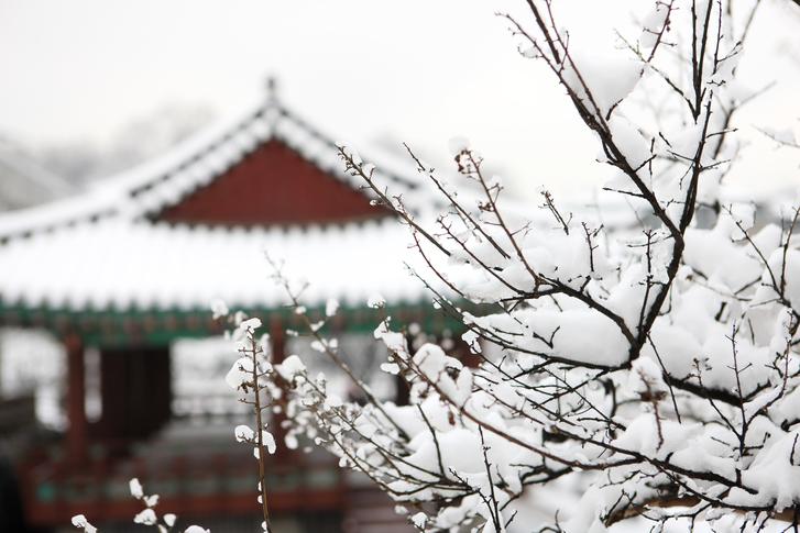 ฤดูหนาวที่เกาหลีหนาวมาก ๆ