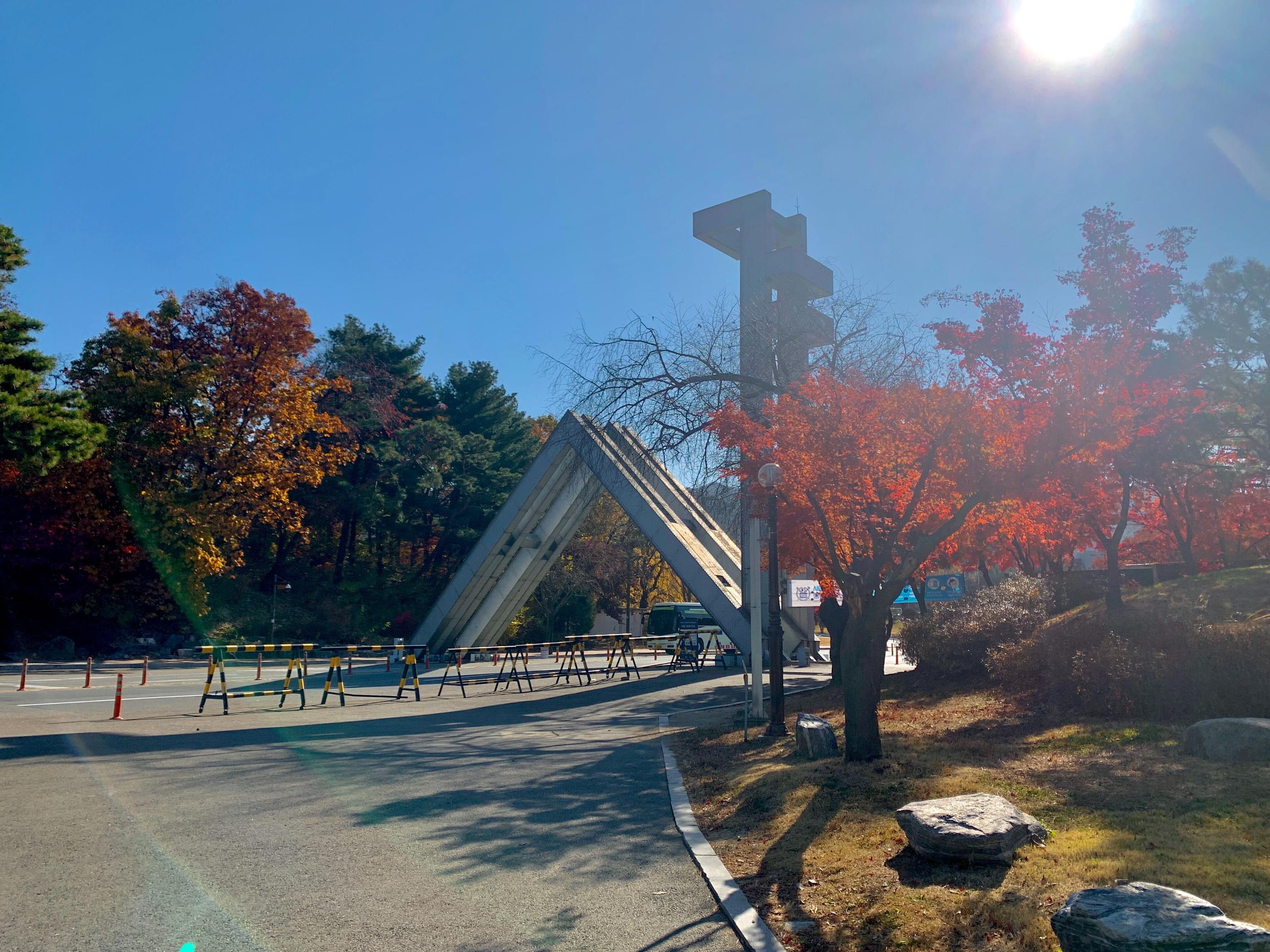 韓国、韓国旅行、韓国紅葉、韓国もみじ、韓国モミジ、韓国イチョウ、韓国銀杏、紅葉、韓国秋、秋旅行