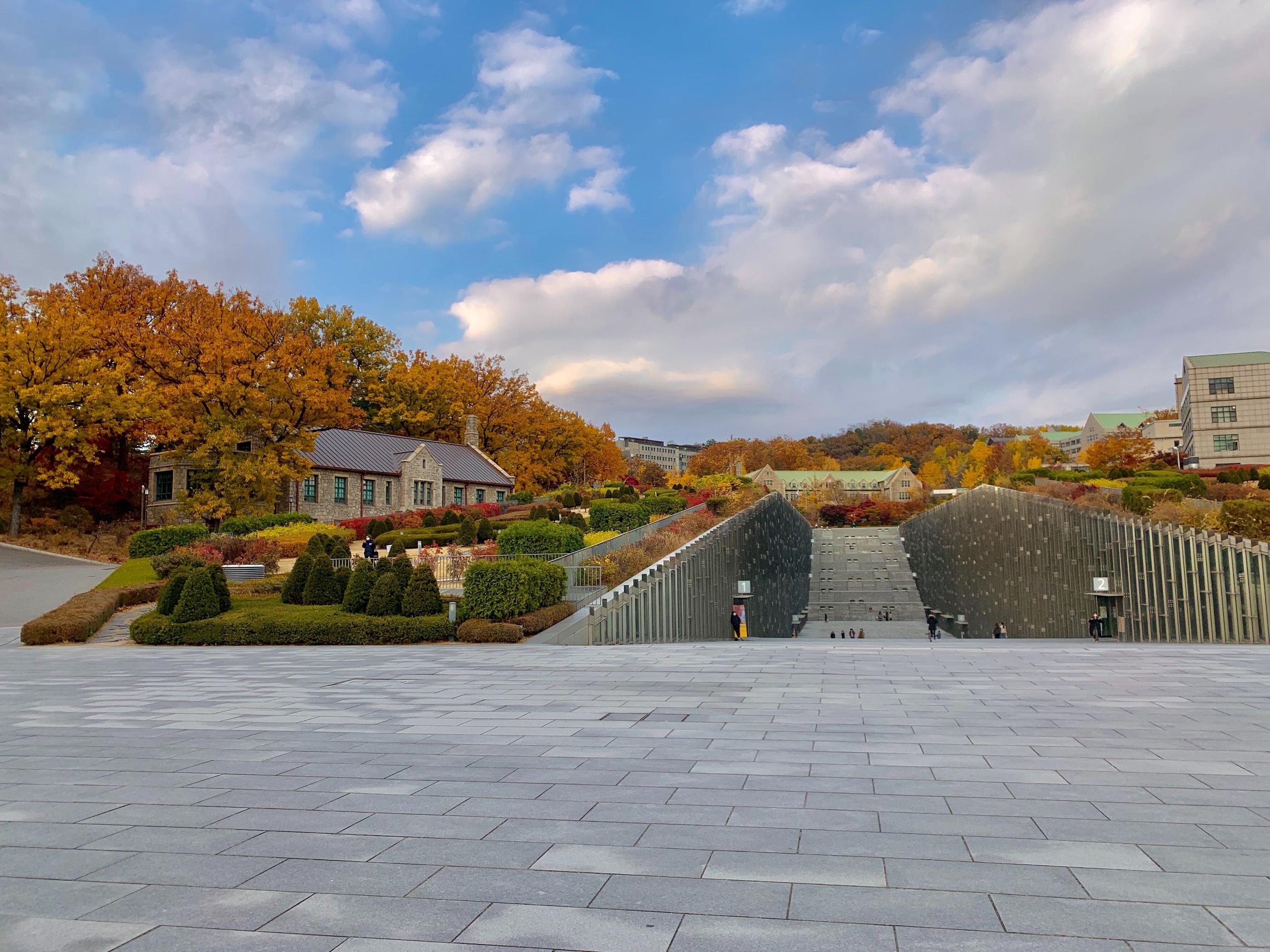 韓国、韓国旅行、韓国紅葉、韓国もみじ、韓国モミジ、韓国イチョウ、韓国銀杏、紅葉、韓国秋、秋旅行
