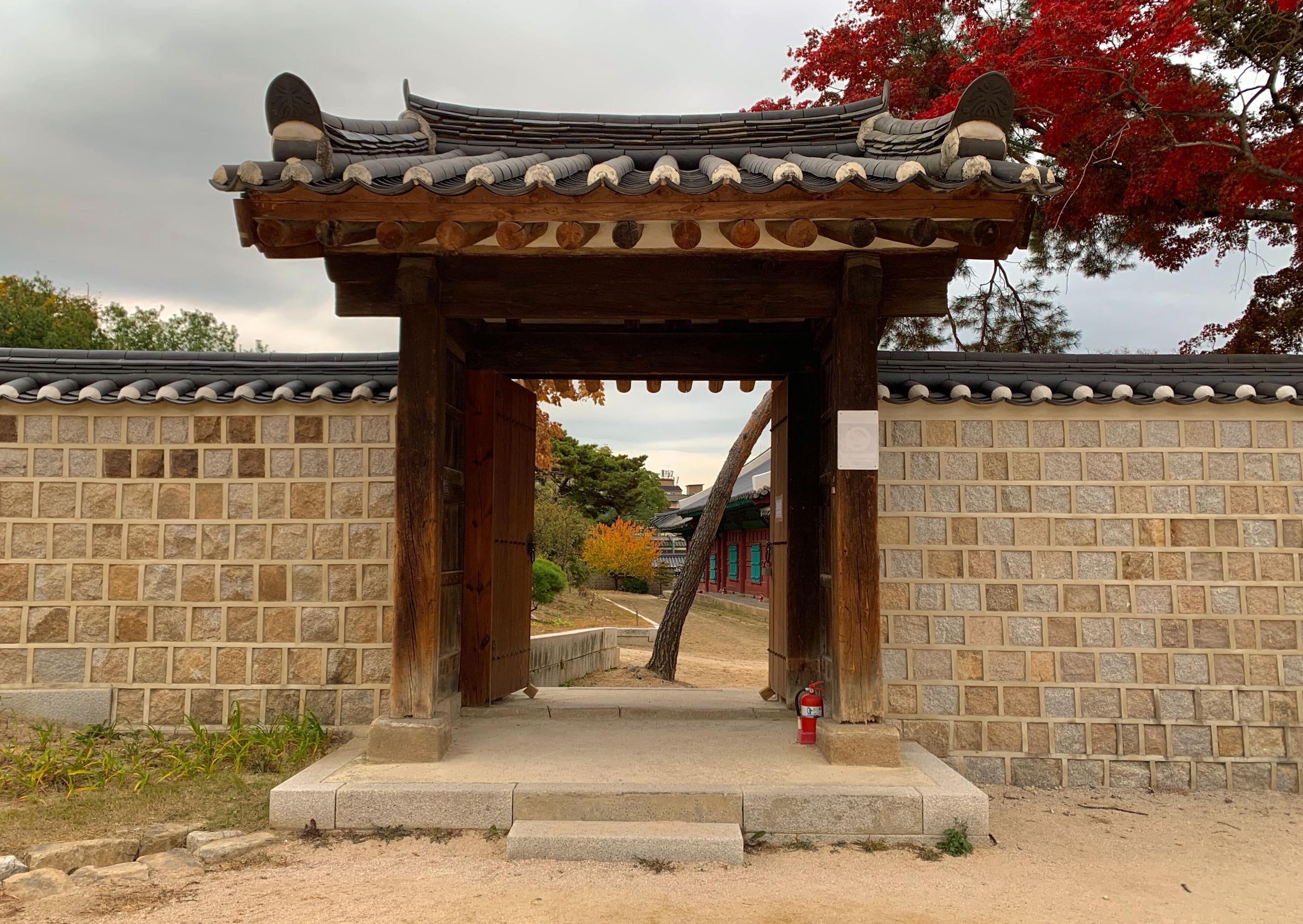 韓国、韓国旅行、韓国紅葉、韓国もみじ、韓国モミジ、韓国イチョウ、韓国銀杏、紅葉、韓国秋、秋旅行