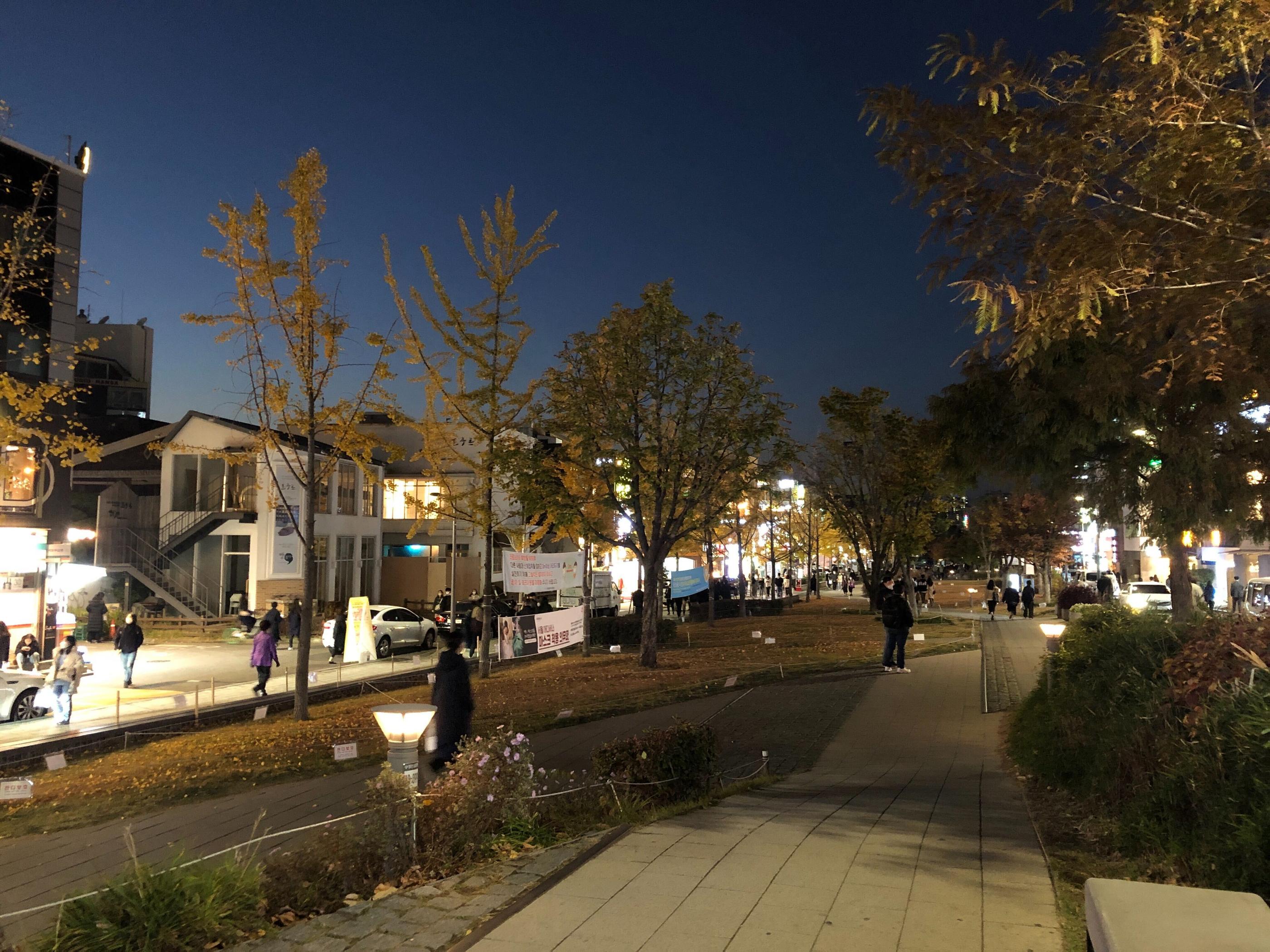 韓国、韓国旅行、韓国紅葉、韓国もみじ、韓国モミジ、韓国イチョウ、韓国銀杏、紅葉、韓国秋、秋旅行