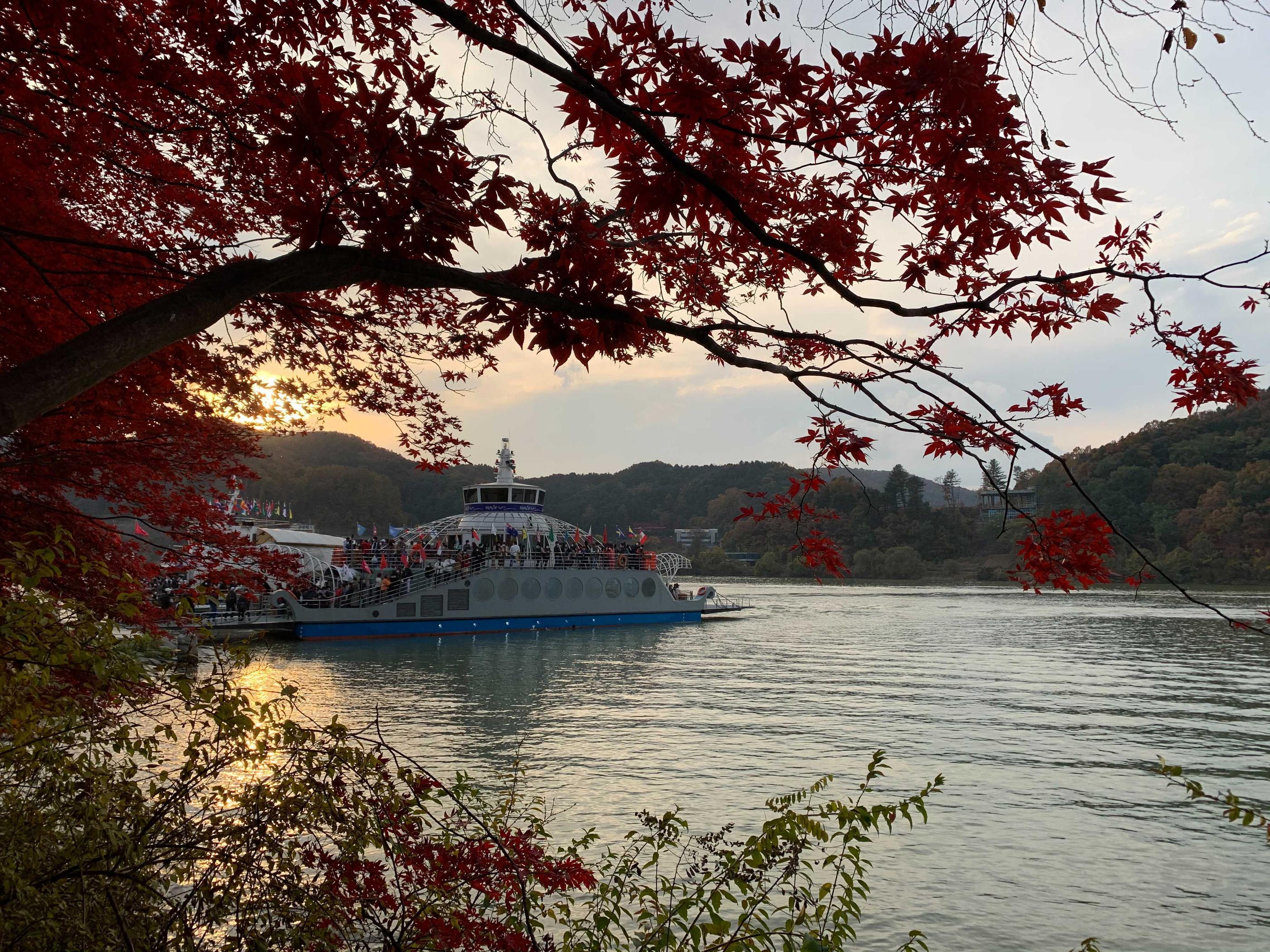 韓国、韓国旅行、韓国紅葉、韓国もみじ、韓国モミジ、韓国イチョウ、韓国銀杏、紅葉、韓国秋、秋旅行