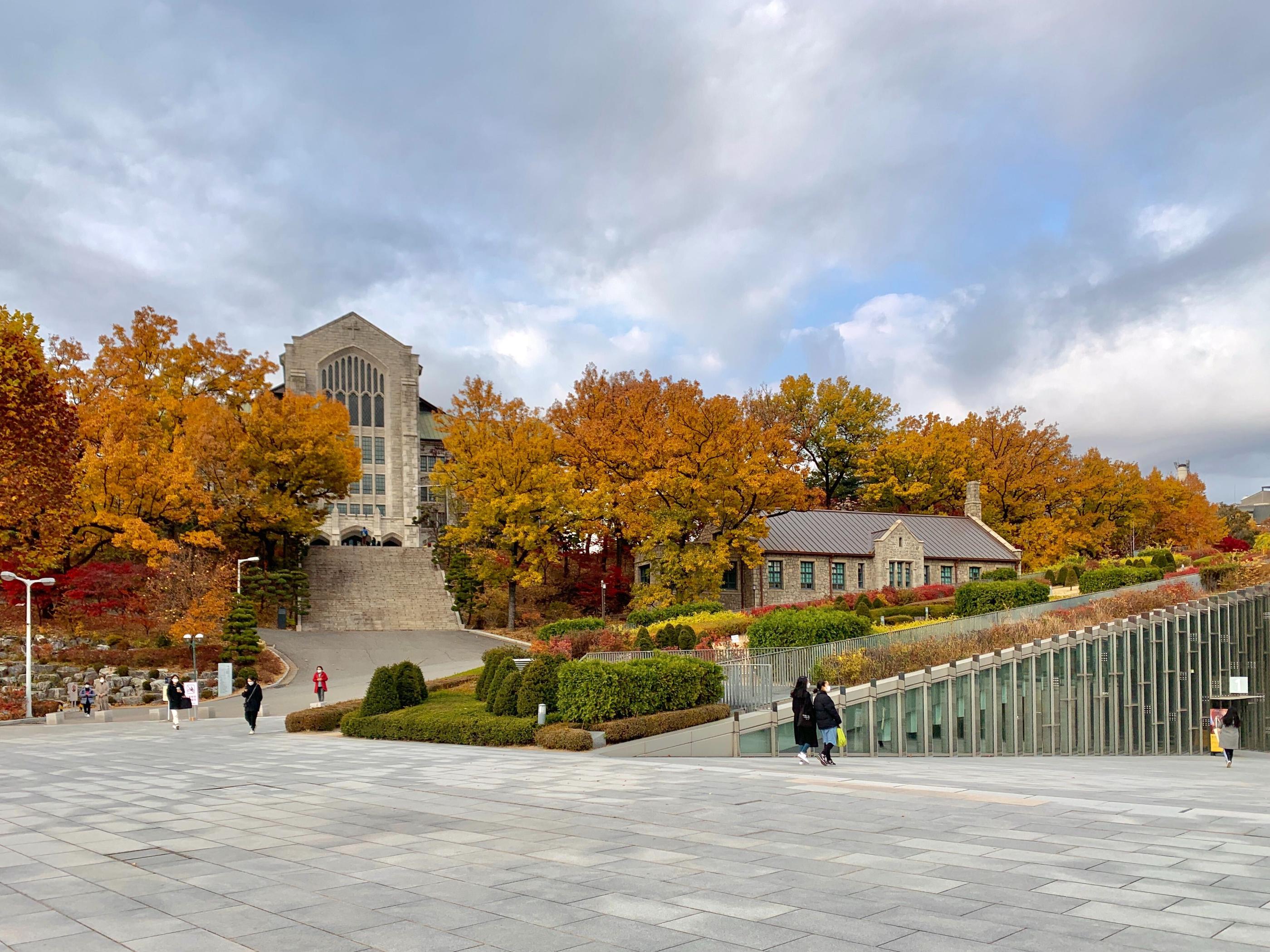韓国、韓国旅行、韓国紅葉、韓国もみじ、韓国モミジ、韓国イチョウ、韓国銀杏、紅葉、韓国秋、秋旅行