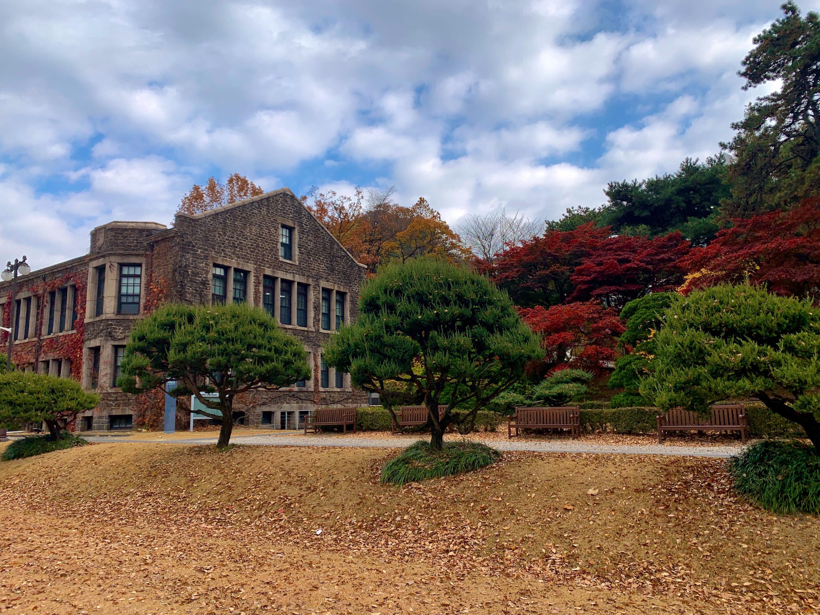 韓国、韓国旅行、韓国紅葉、韓国もみじ、韓国モミジ、韓国イチョウ、韓国銀杏、紅葉、韓国秋、秋旅行