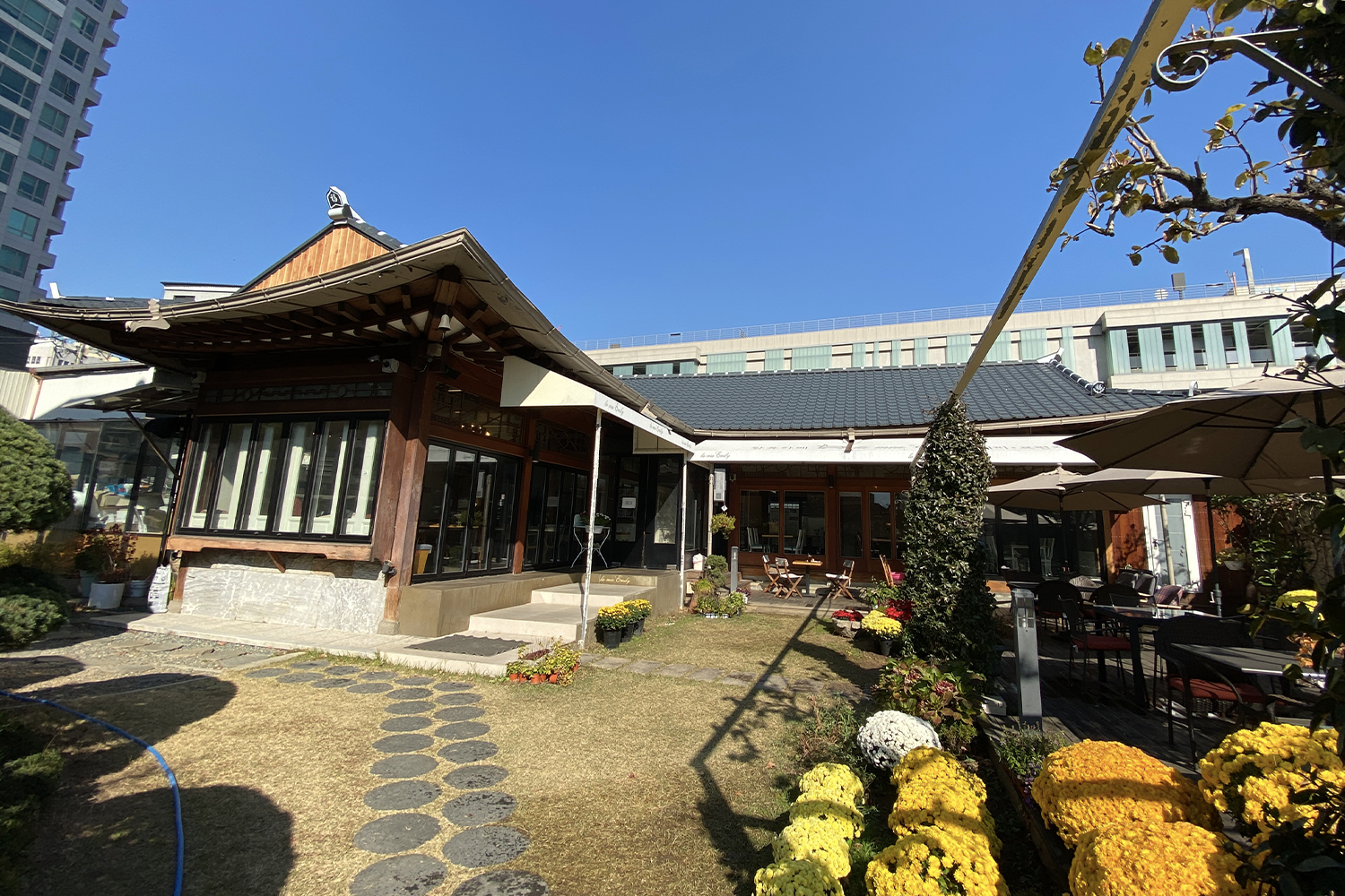 LAMIA EMILY咖啡馆外部全景,围绕着多彩植物与花园。