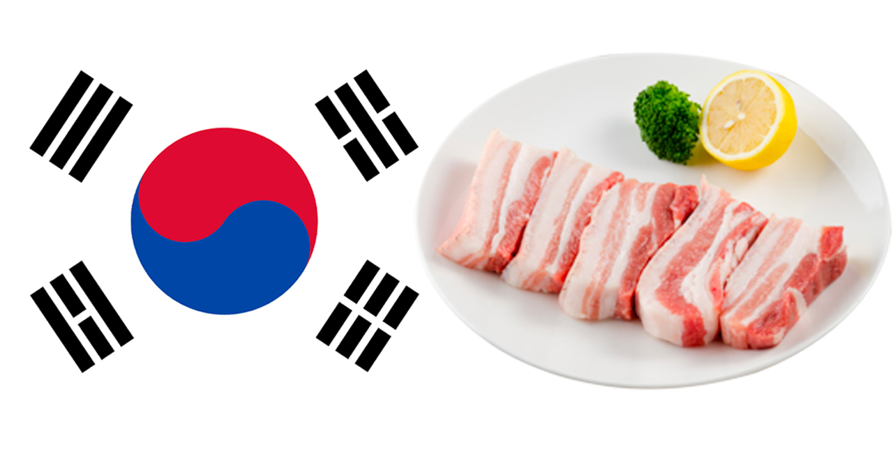 圖片展示韓國獨有節日的概念，包括韓國國旗和一道傳統韓國豬肉拼盤，盤中擺放有豬肉片、檸檬和西蘭花。