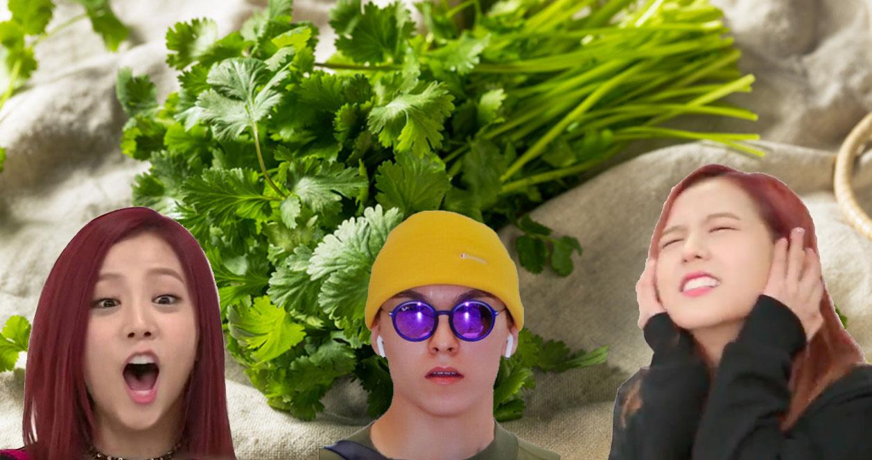Người Hàn thực sự không thích ăn rau mùi: do gen hay do thói quen? 