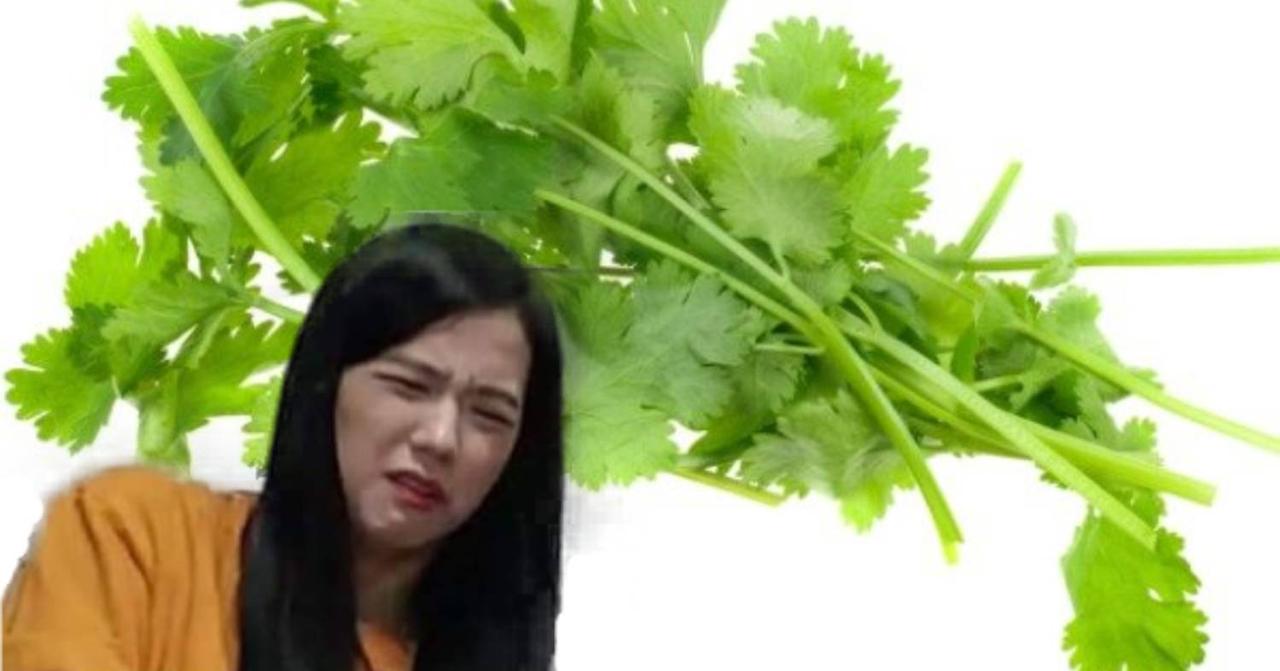 韓國人都好憎芫茜？