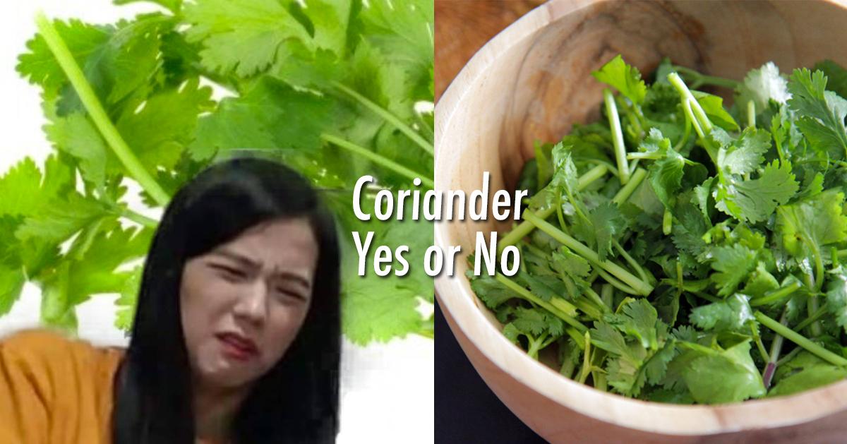 韓國人不喜歡香菜？