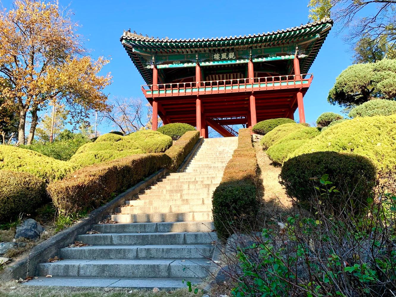 tour daegu dấu vết quê hương công viên dalseong daegu du lịch tour hàn quốc