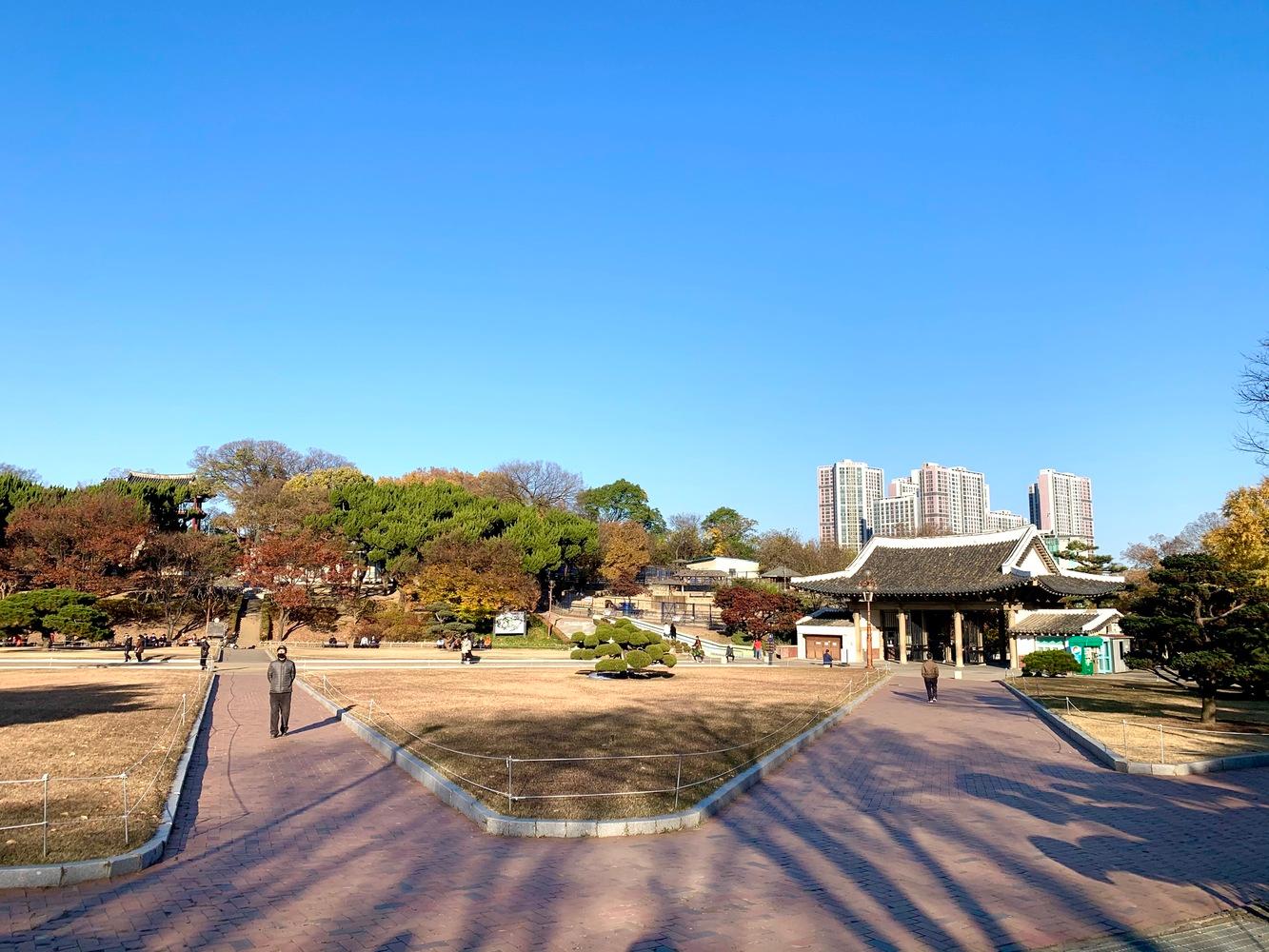 tour daegu dấu vết quê hương công viên dalseong daegu thư giãn healing du lịch tour hàn quốc