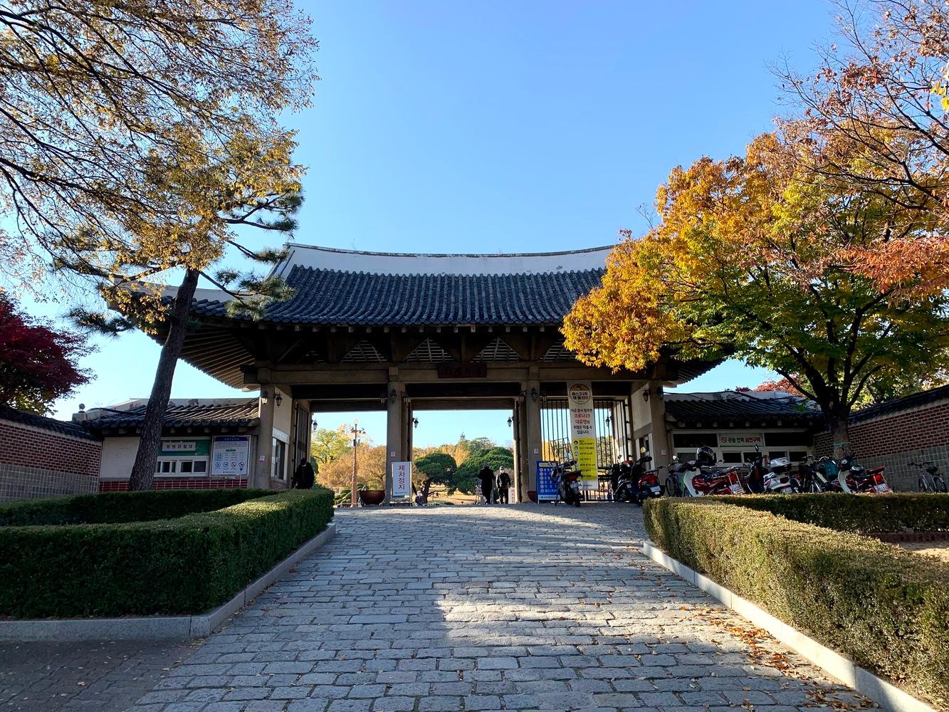 tour daegu dấu vết quê hương công viên dalseong daegu đi dạo du lịch tour hàn quốc