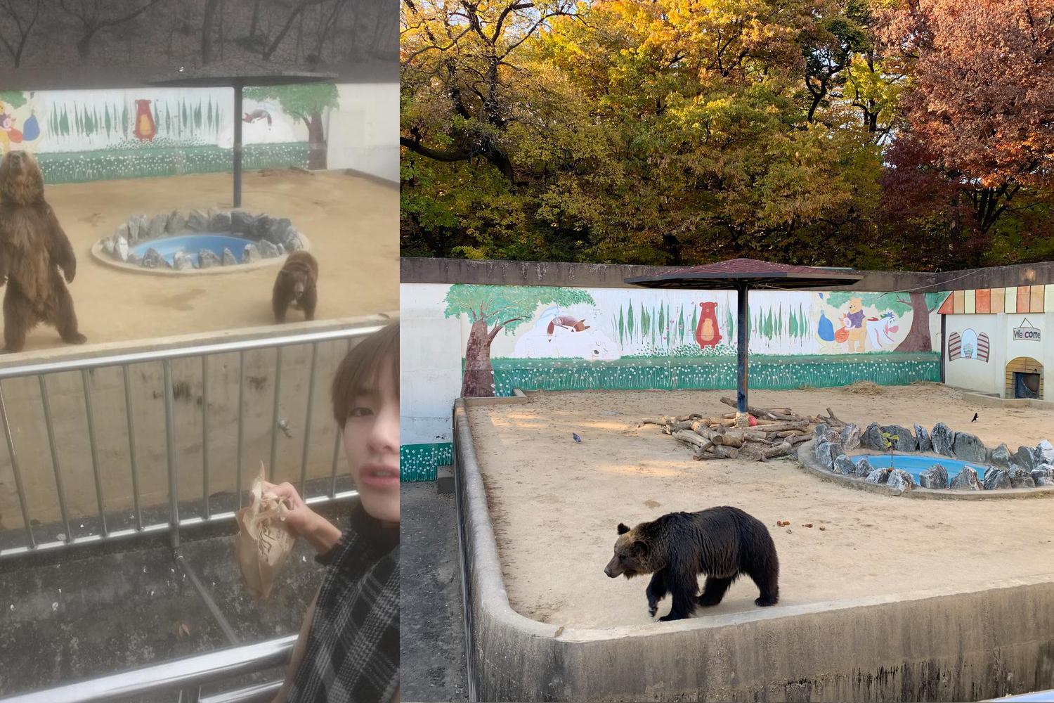 tour daegu dấu vết quê hương công viên dalseong daegu selca gấu du lịch tour hàn quốc