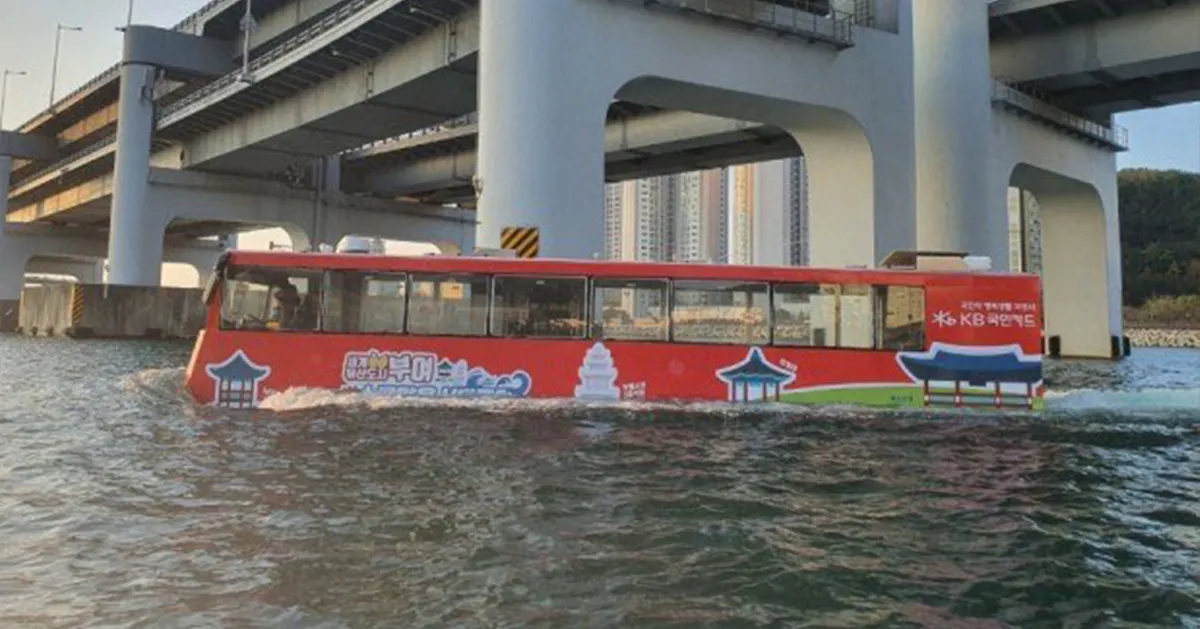 釜山海陸巴士穿梭海岸，探索韓國地方特色的交通方式。