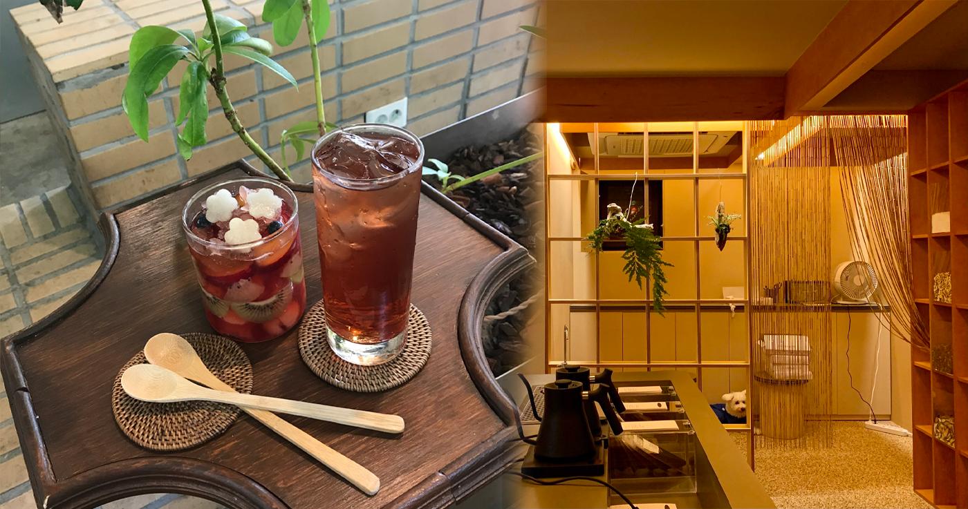 Yakchowon: el café de Mangwondong que es un jardín de hierbas celestial