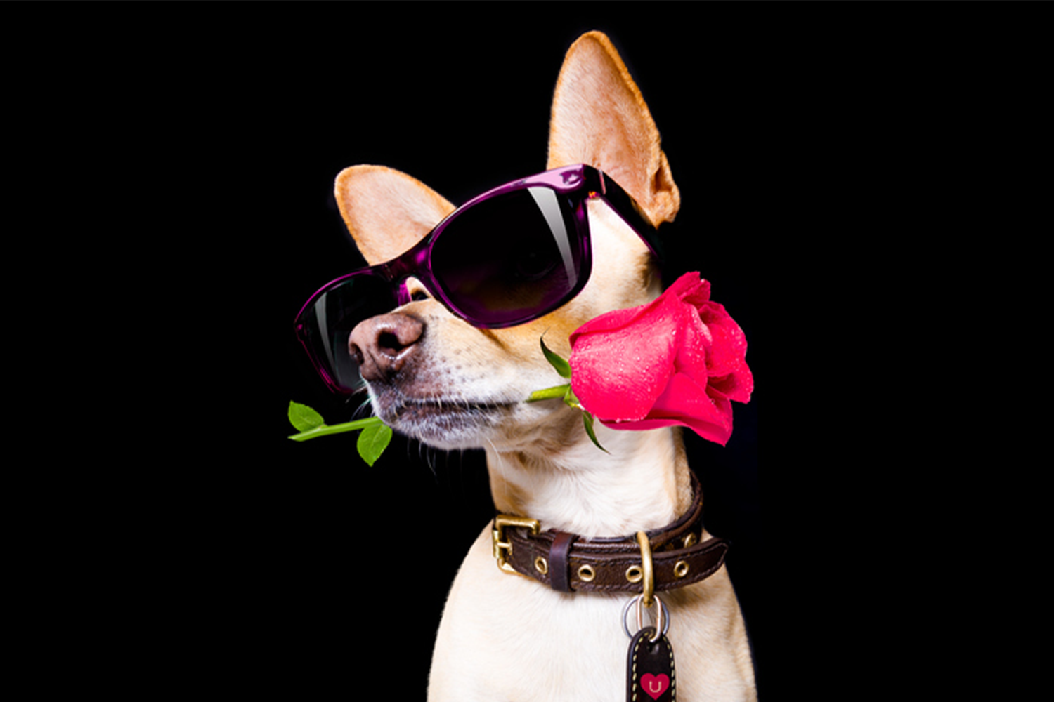 ทำนายฝัน