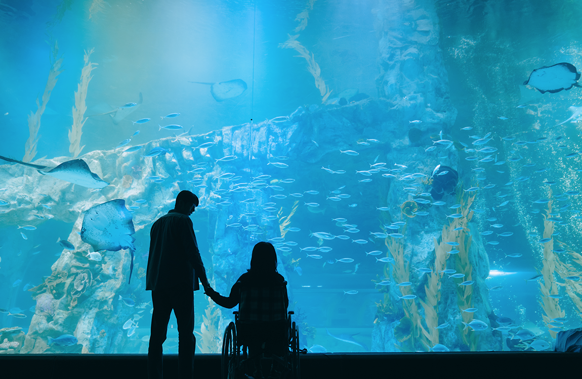 《喬瑟與老虎、魚》發佈會上，劇組成員坐在臺上，似乎在討論影片的創作過程與心得。