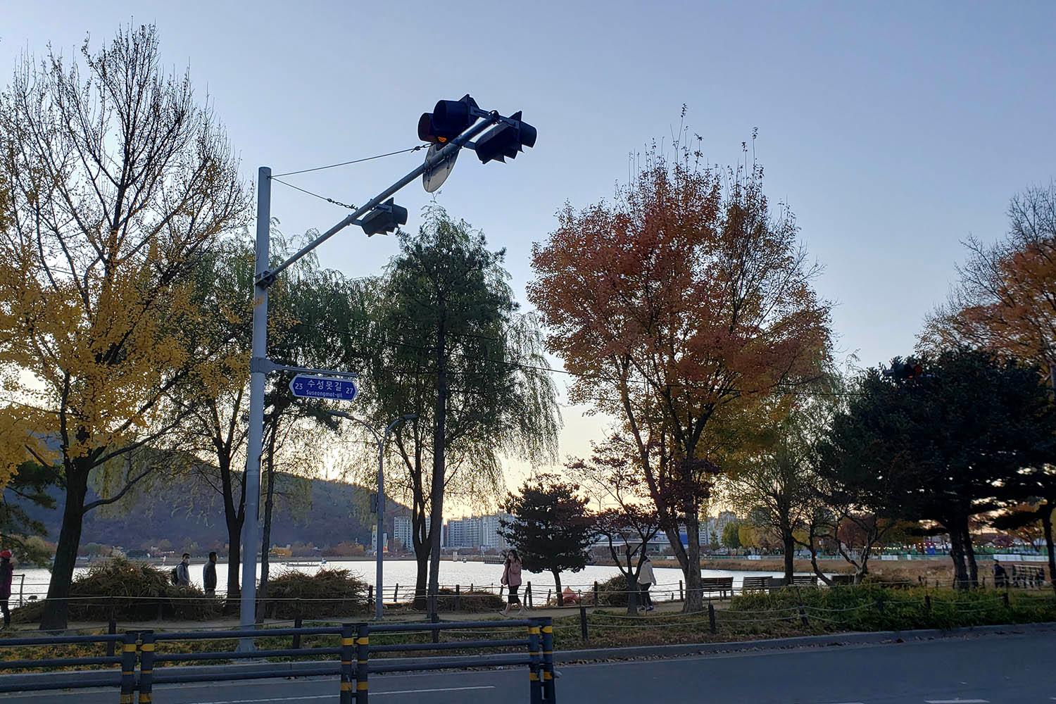 Daegu, Suseongmot, Suseongmot Lake, Travel Daegu, Fall Scenery