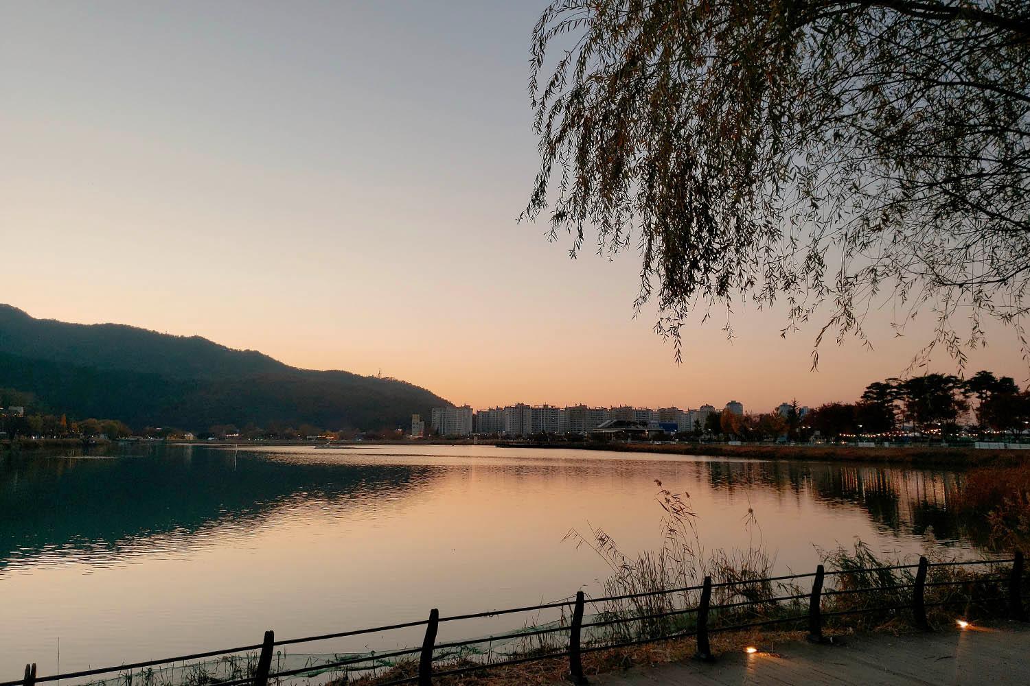 Daegu, Suseongmot, Suseongmot Lake, Travel Daegu, Night View, Scenery