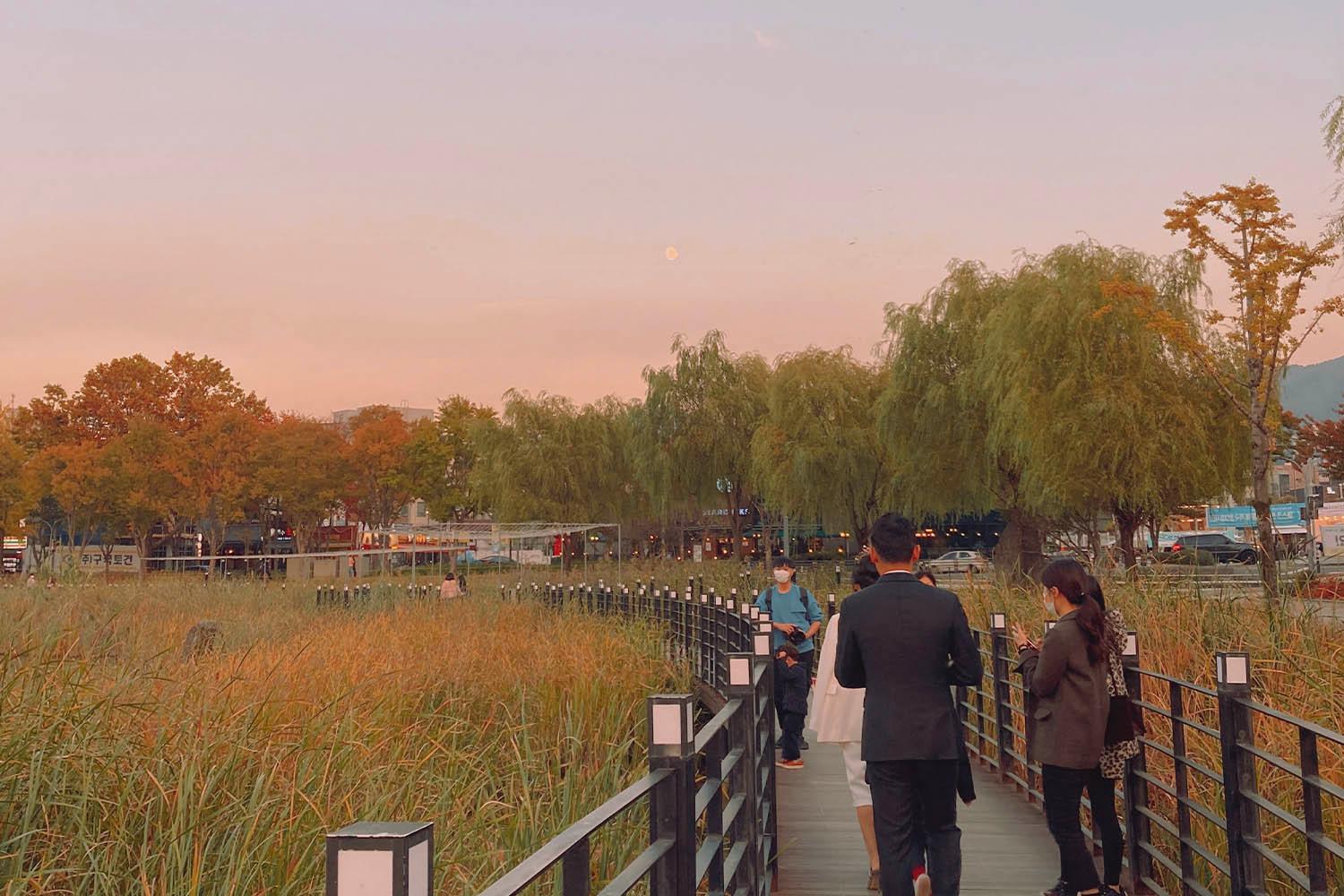 Daegu, Suseongmot, Suseongmot Lake, Travel Daegu, Fall Scenery, Sunset