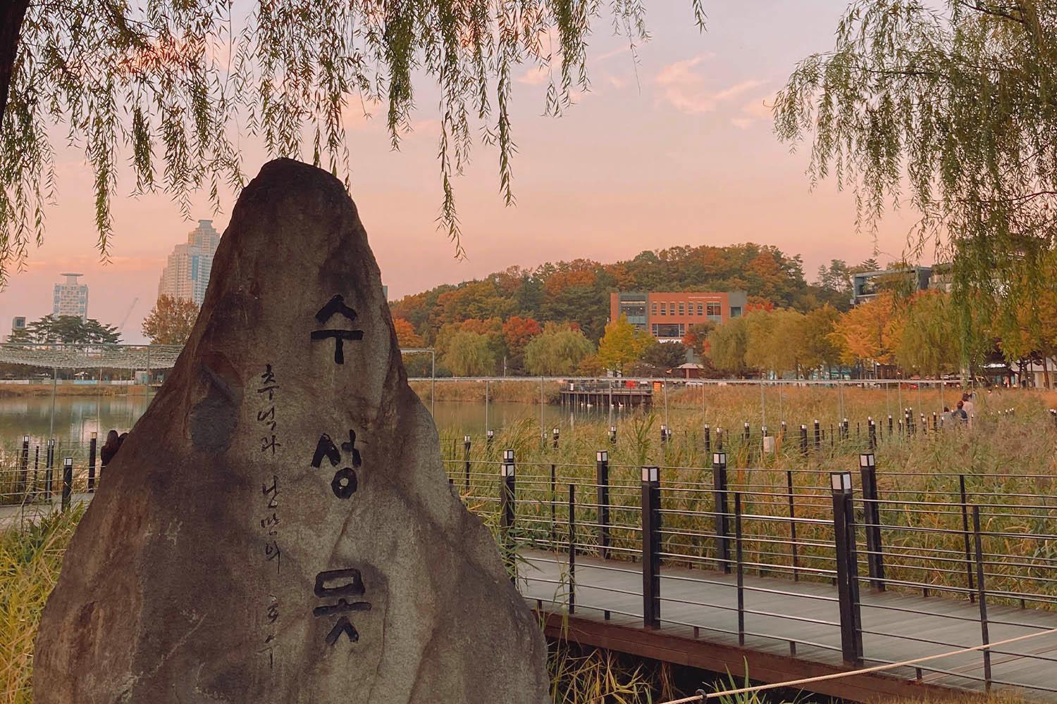 Daegu, Suseongmot, Suseongmot Lake, Travel Daegu, Fall Scenery, Sunset
