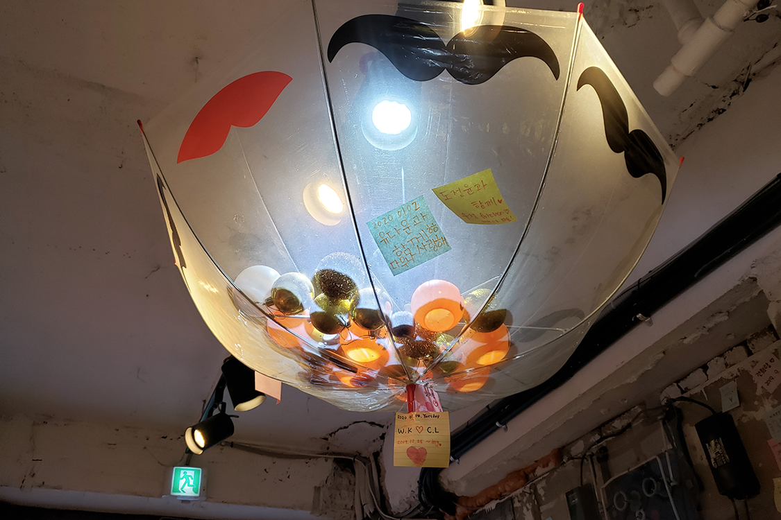 文畫裝咖啡廳內部天花板倒掛著的透明傘裝飾。