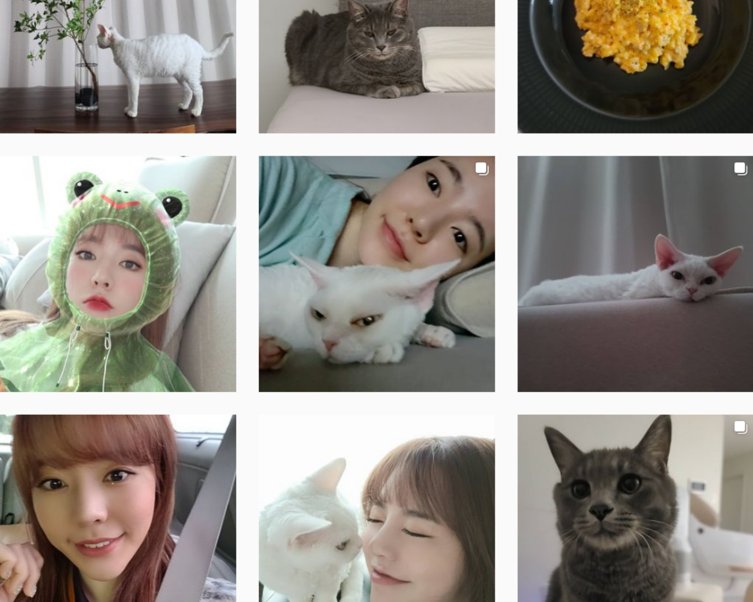 少女時代、KPOP、サニー、猫
