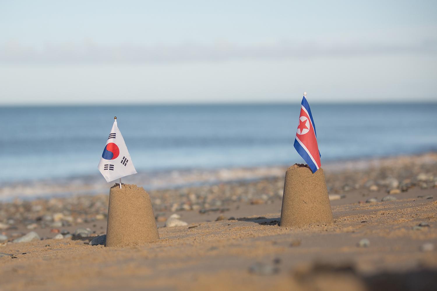 the south korean flag and the north korean flag on the beach