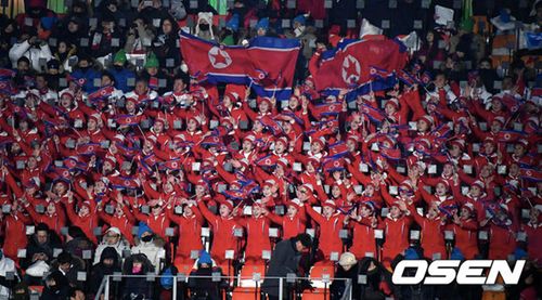 crowd waving the north korean flag at the pyengchang winter olympics