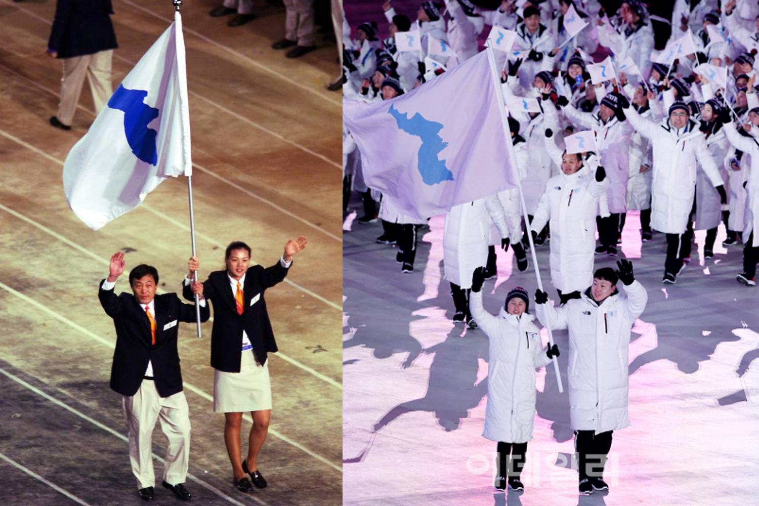 examples of the korea unification  flag