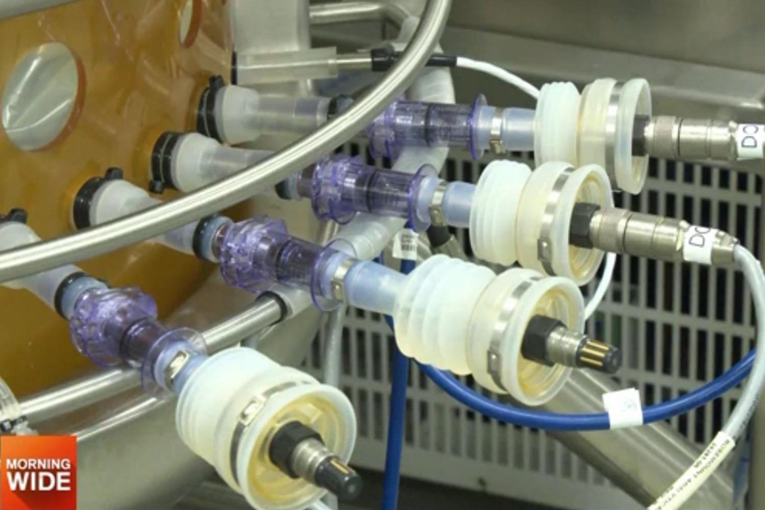 เร่งพัฒนาวัคซีน