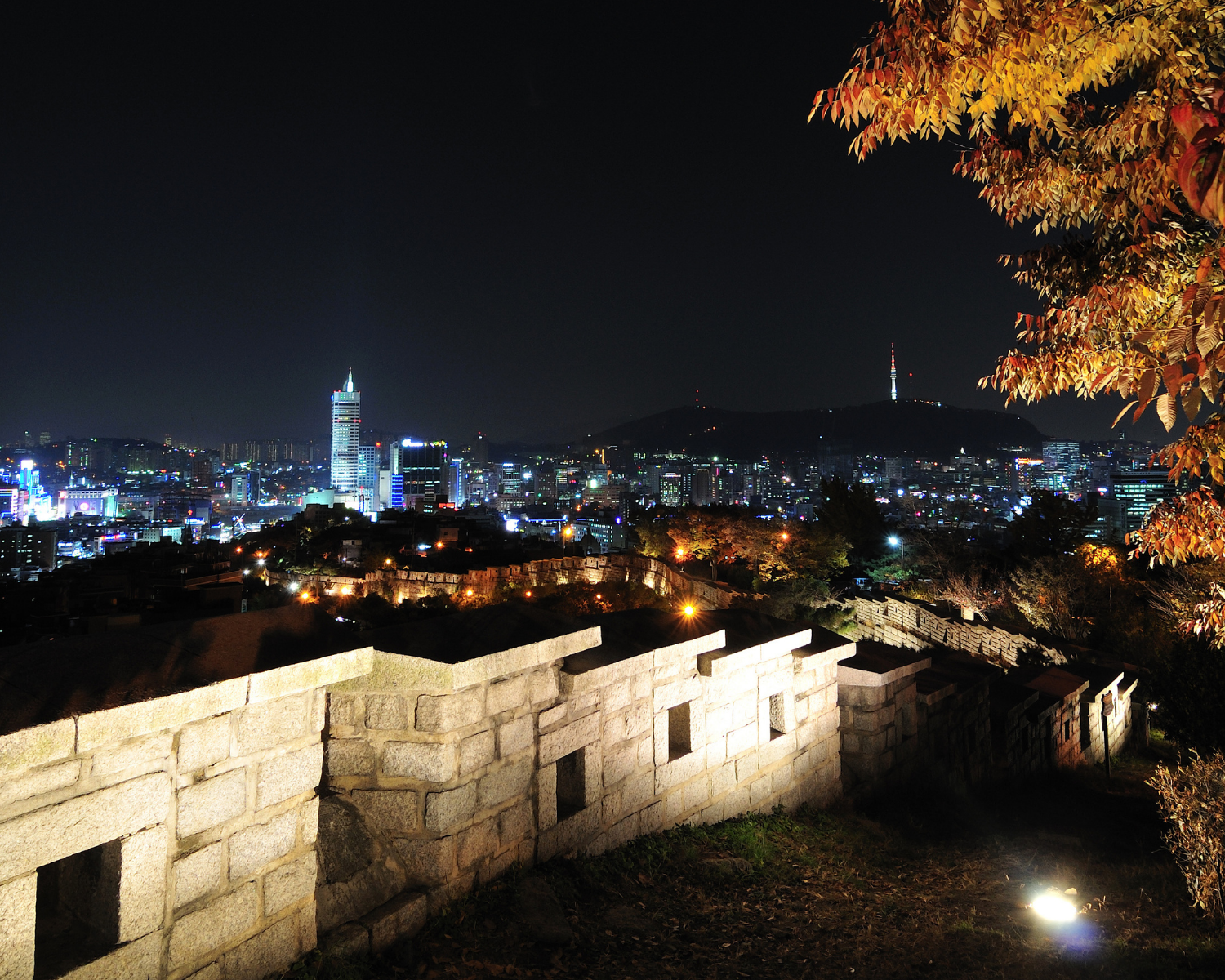 ソウル、旅行、夜景、ナクサン公園