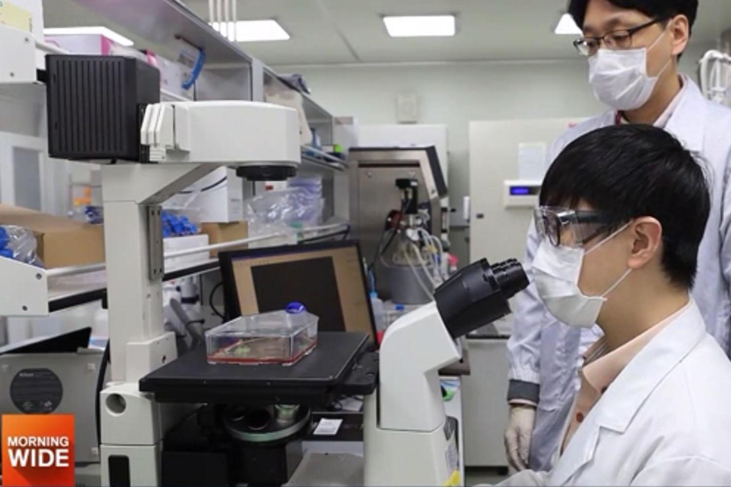 นักวิจัยในห้องทดลองกำลังศึกษา COVID-19 ผ่านกล้องจุลทรรศน์เพื่อค้นหาแนวทางพัฒนาวัคซีน