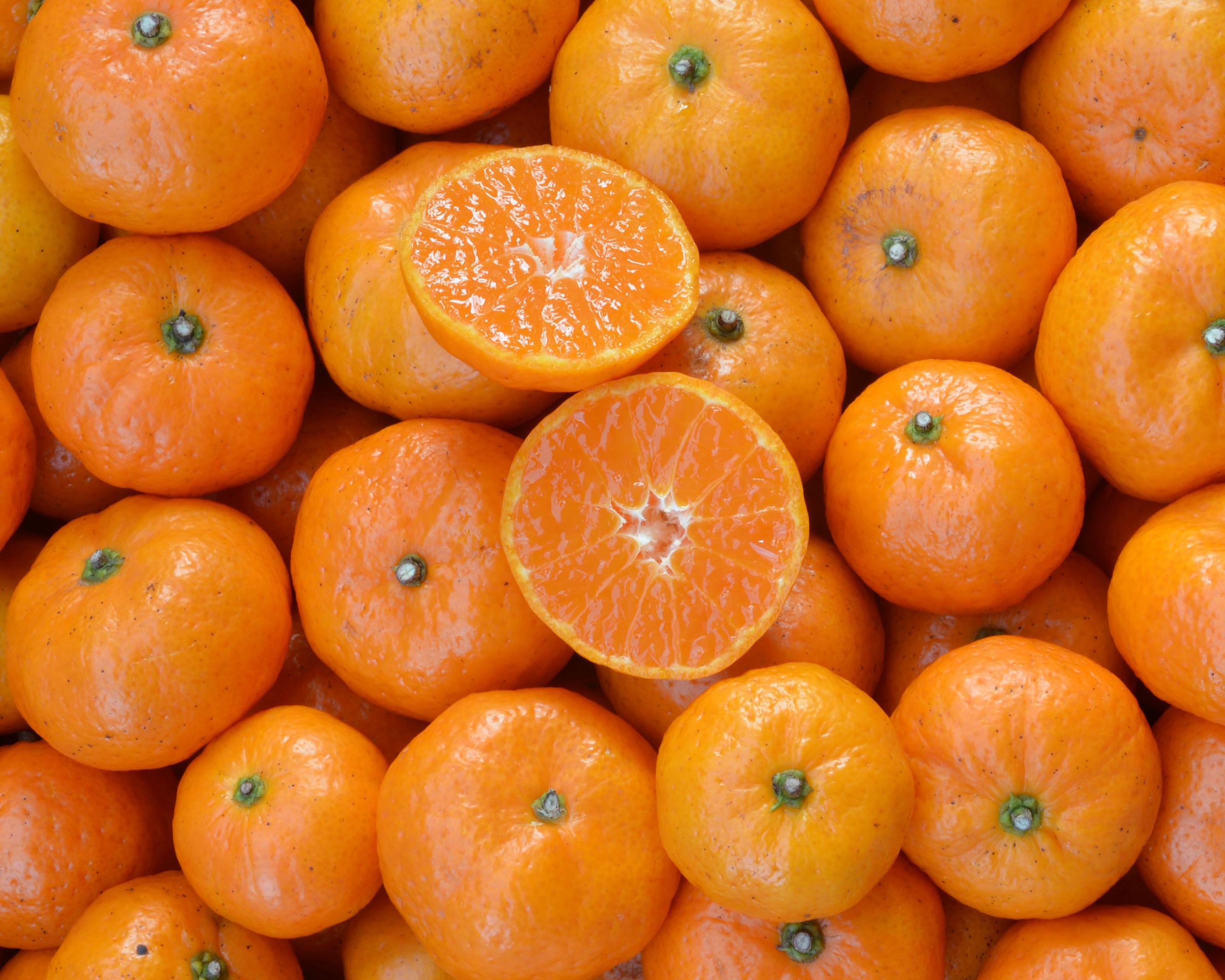 韓国の冬、韓国の果物、韓国ラーメン、韓国の柿、韓国の食後のデザート、韓国のみかん