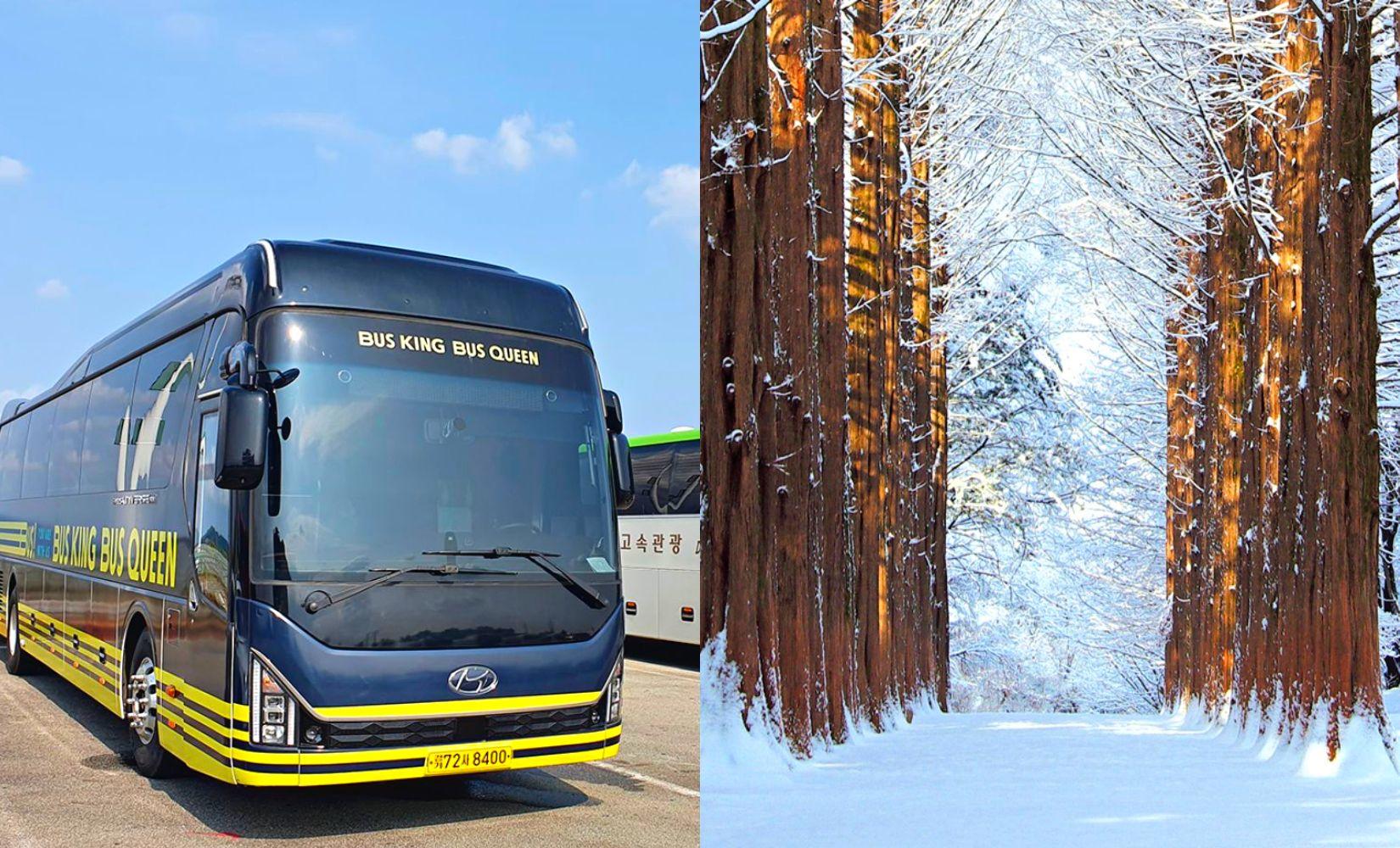 Xe buýt đưa đón khứ hồi Seoul - Đảo Nami: Đến đảo Nami quá dễ dàng! 