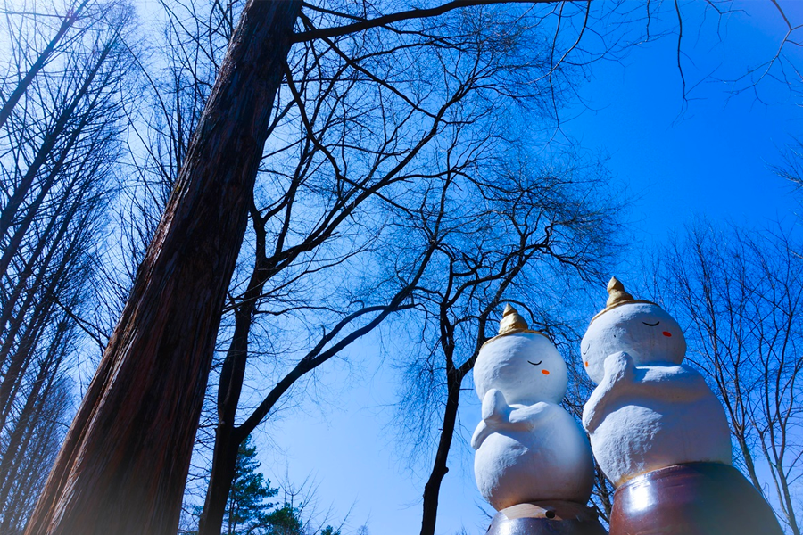 南怡島的韓式建築，冬日的美麗景緻。