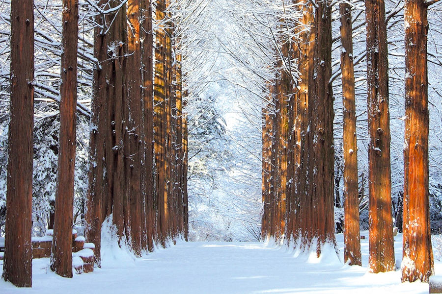 南怡島接駁巴士上的告示牌。