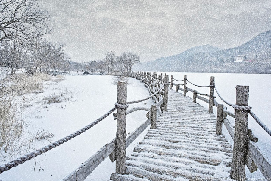 南怡島的冬日雪景，裝飾著繽紛氣球。