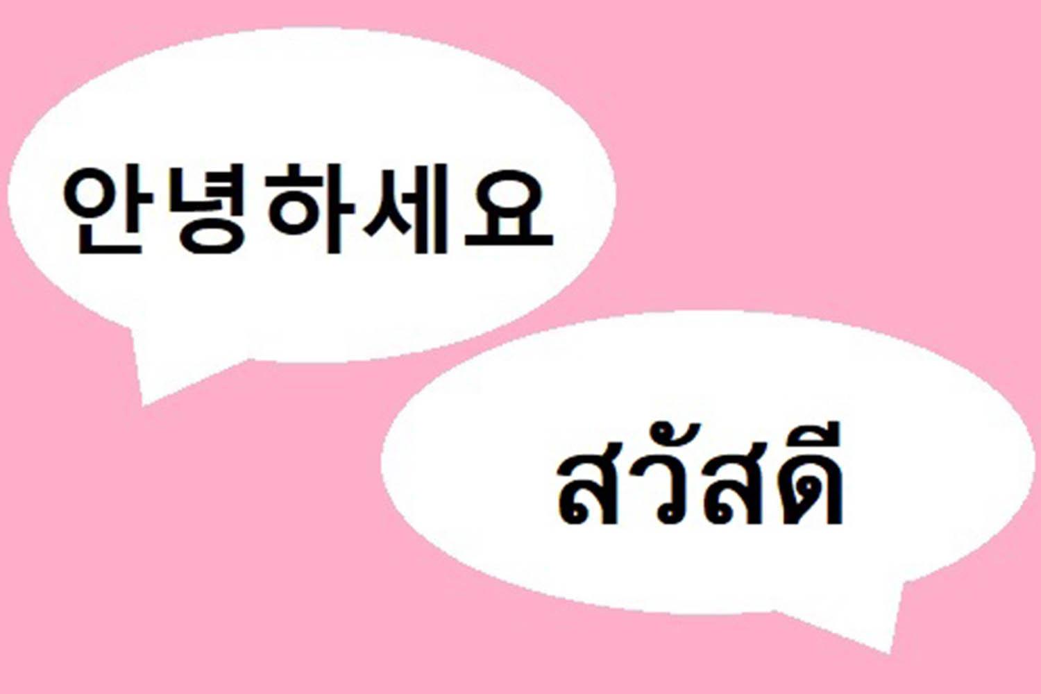 ความแตกต่างด้านภาษา