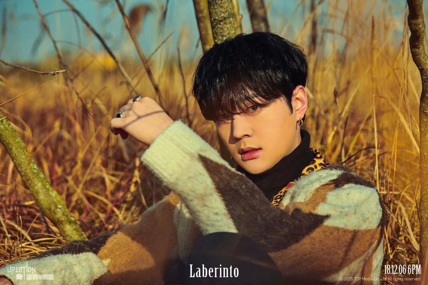 ภาพบรรยากาศในสวนสาธารณะที่มีแสงแดดอบอุ่นและต้นไม้ในฤดูใบไม้ร่วง