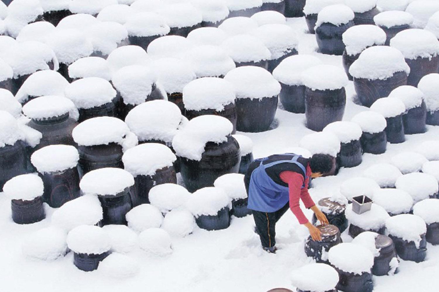 การทำกิมจิในหน้าหนาว