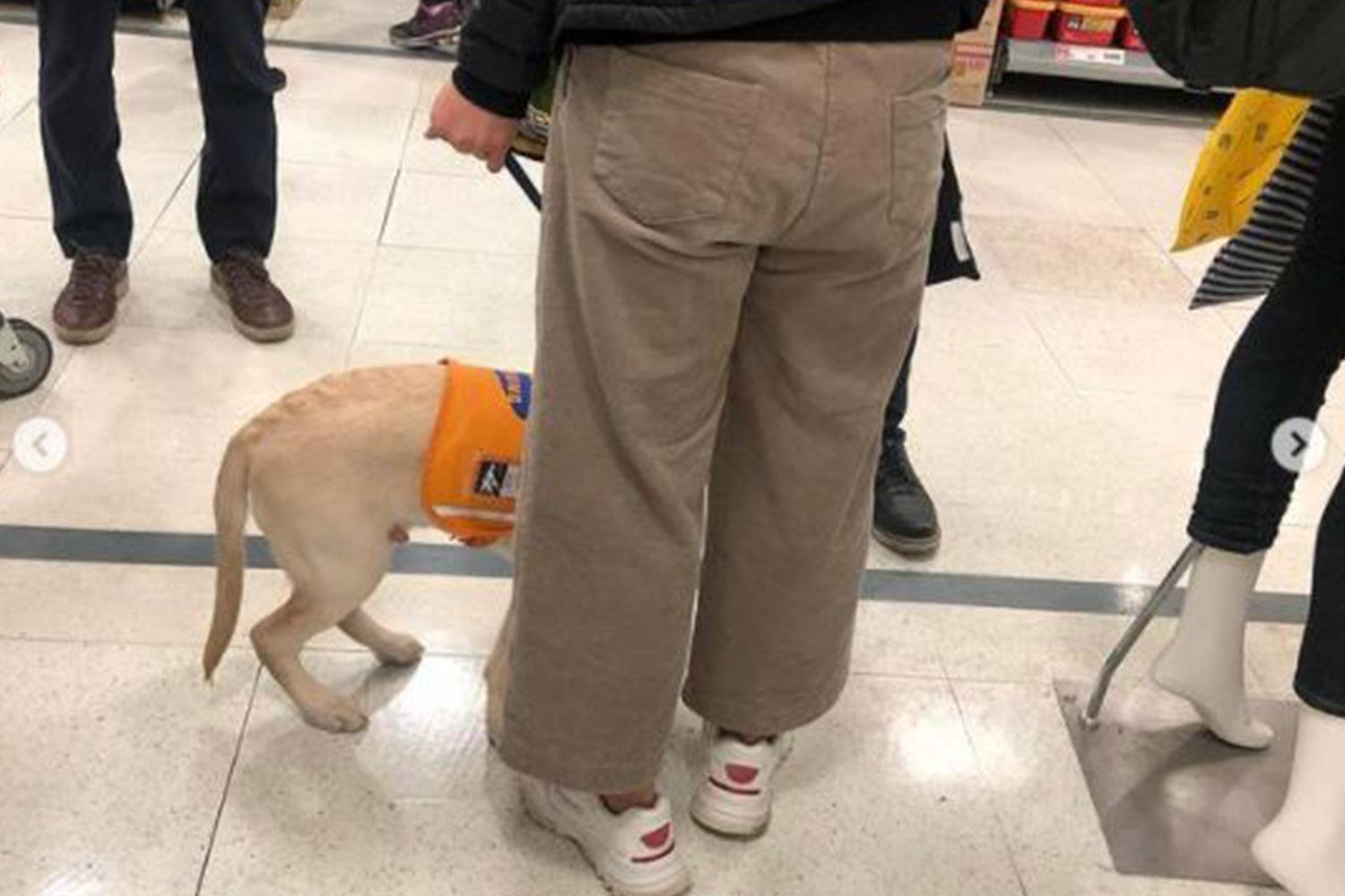 รูปน้องหมา