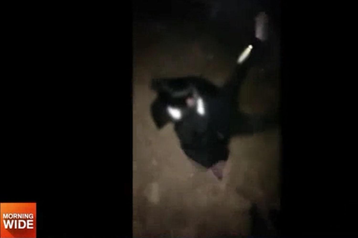 ภาพตอนต่อสู้