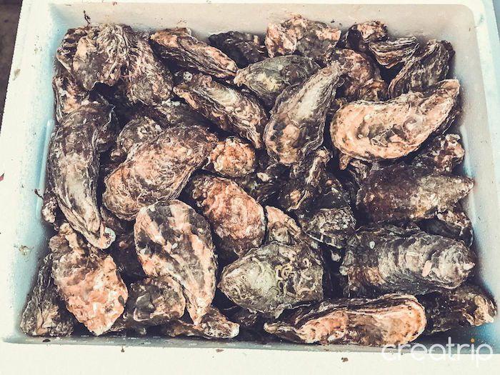 Pile of raw oysters in a box ready for sale at Tongyeong's market.