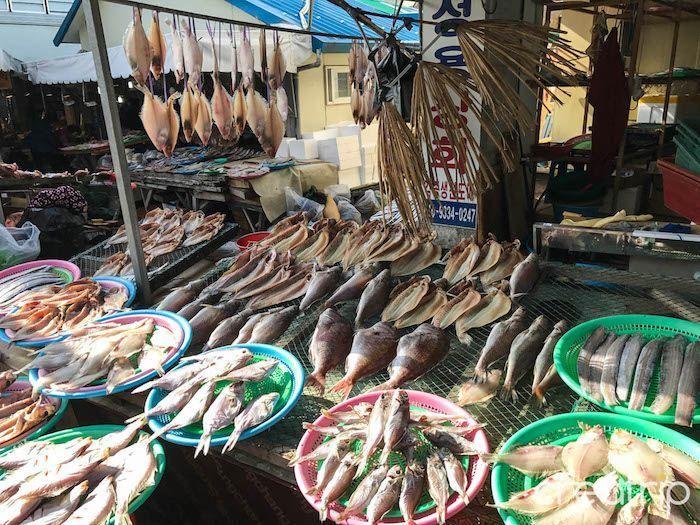 Outdoor fish market in Tongyeong displaying various freshly caught seafood.